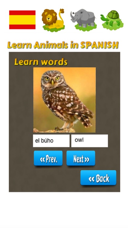 Learn Animals in Spanish Language