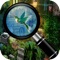 Hidden Objects Natural