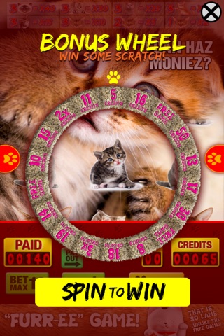 Lucky Cat Slots: Top Slot Machine Game with Real Kitty Cats' Sounds—FREE screenshot 2