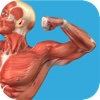 Student Muscle & Bone Anatomy 3D Visual Dictionary with Quiz Master