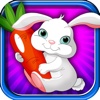 A Rabbit Fun Carrot Collect - Backyard Runner Lawn Pet - Full Version
