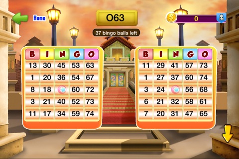Free Bingo Games screenshot 3