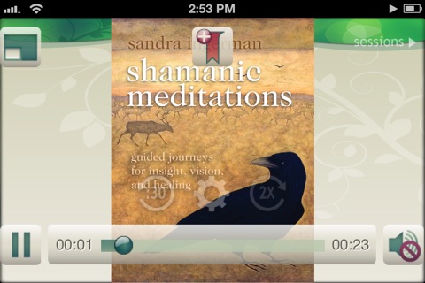 Shamanic Meditations - Sandra Ingerman screenshot 2