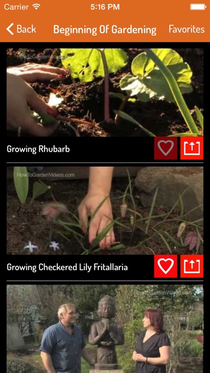Gardening Guide