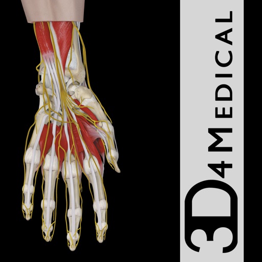 Hand & Wrist Pro III with Animations - iPhone Edition