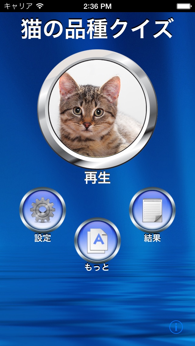 猫の品種クイズ screenshot1