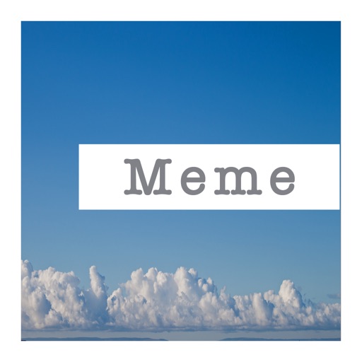 Meme Journal