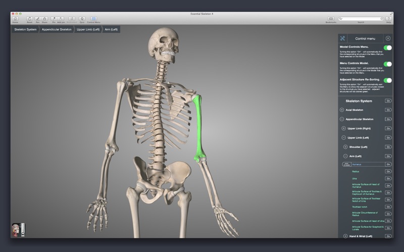 essential skeleton 4 free download