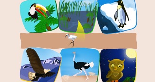 How to cancel & delete Who Lives Where, Educational puzzle with animals for toddlers, Age 2+ from iphone & ipad 2