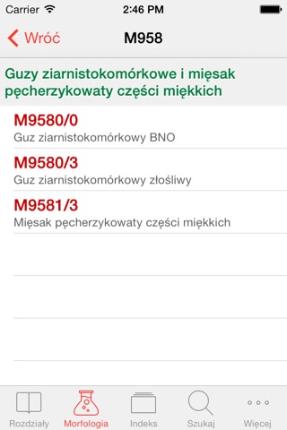 ICD-10 PL screenshot 2