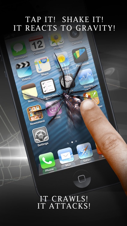 Spider Prank Lite