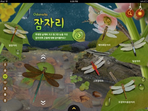 물과 들에 사는 곤충 screenshot 2