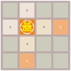 2048 Points Puzzle