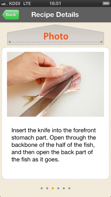 Basic Japanese Recipes - washoku 55 screenshot-3