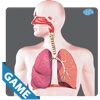 Respiratory Anatomy Game
