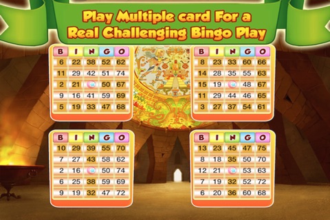 Vegas Bingo Fever 2014 - Casino Gambling Bonanza screenshot 2