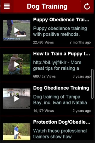 How To Train Dog: Learn How To Train a Dog The Right Way Yourself At Home screenshot 3