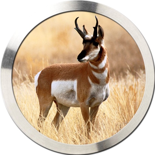 Wild Game Master iOS App