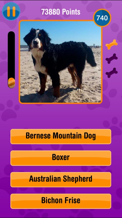 Guess The Dog Breed Free screenshot-3