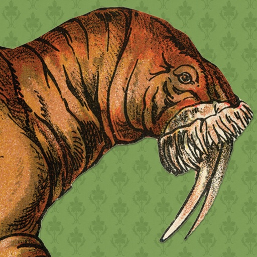 What the Walrus Knows: A Guide to Beastie Energies!