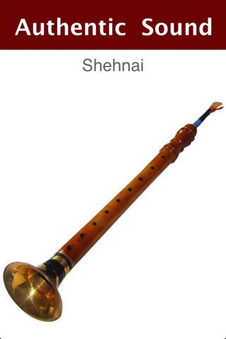 Indian Musical Instruments Free screenshot 2
