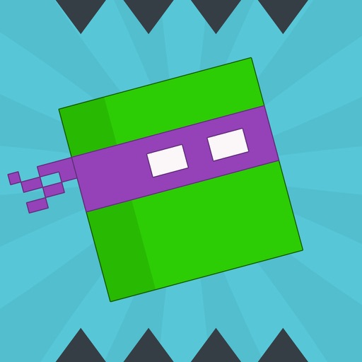 Bouncing Mutant Ninja Turtle icon