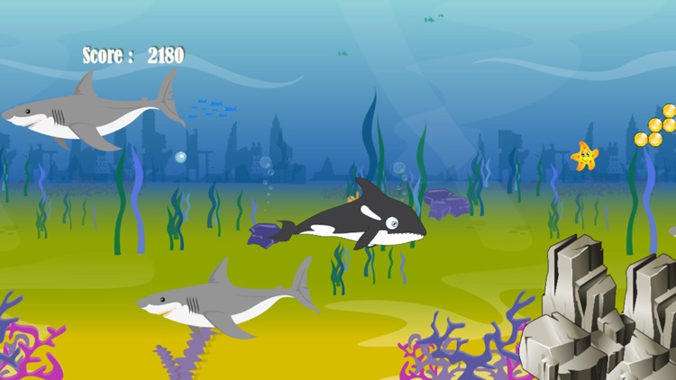 Killer Whale Shark Attack screenshot-3