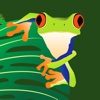 Red-Eyed Tree Frog Fall Rescue - Hungry Alligator Chomp Escape Challenge