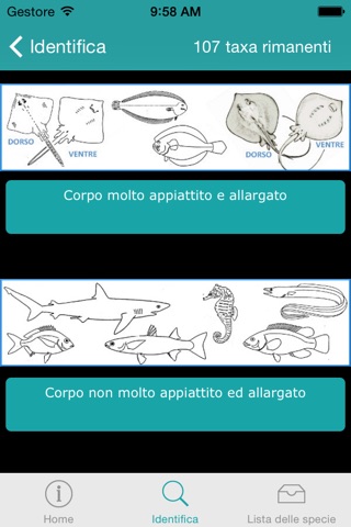 CLICK & fISH - Guida al riconoscimento dei pesci della Laguna di Venezia screenshot 4