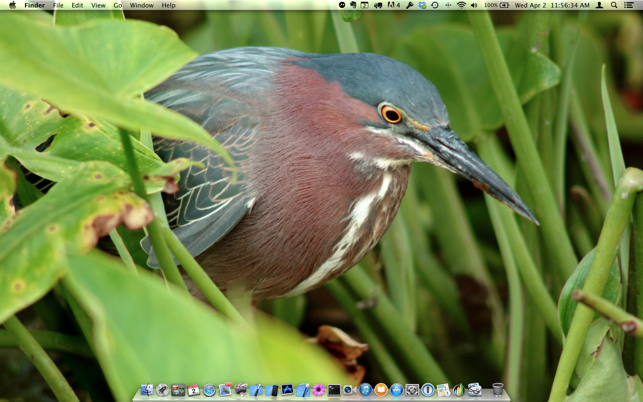 Amazing Nature Desktops Lite(圖4)-速報App