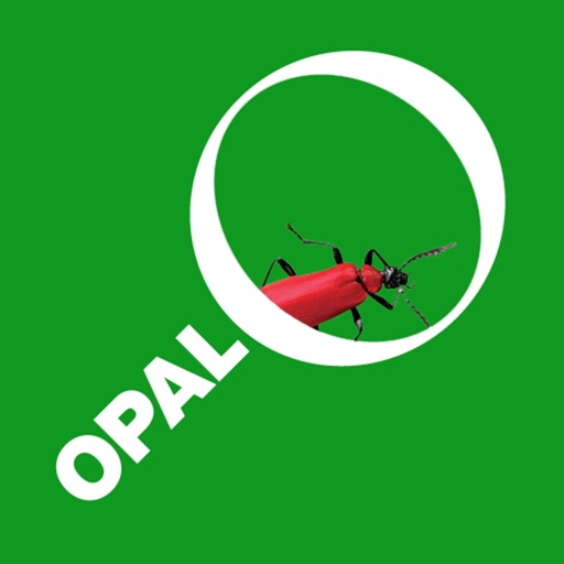 OPAL Bugs Count Pocket ID Guide iOS App