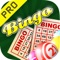 Ace Monte Carlo Double Diamond Bingo PRO