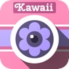 Deco Cam Pro - The Kawaii girly photobooth!