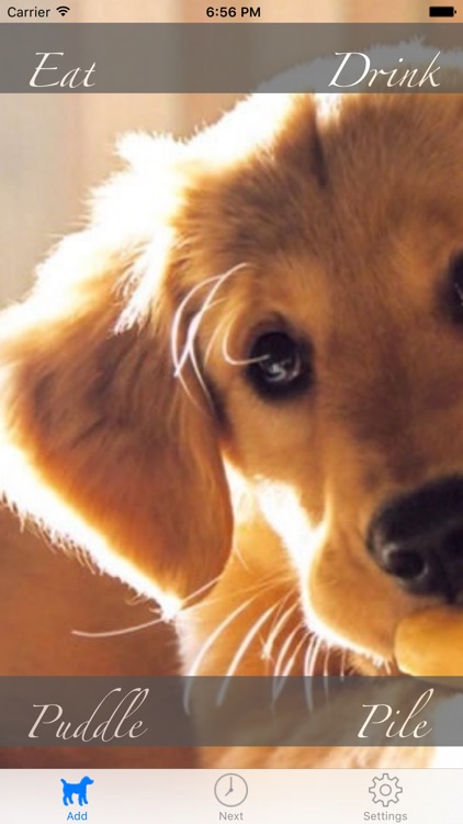Puddle & Pile - Puppy Toilet Training