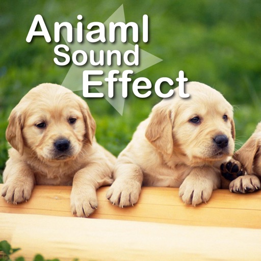 Animal Sounds Zoo HD iOS App