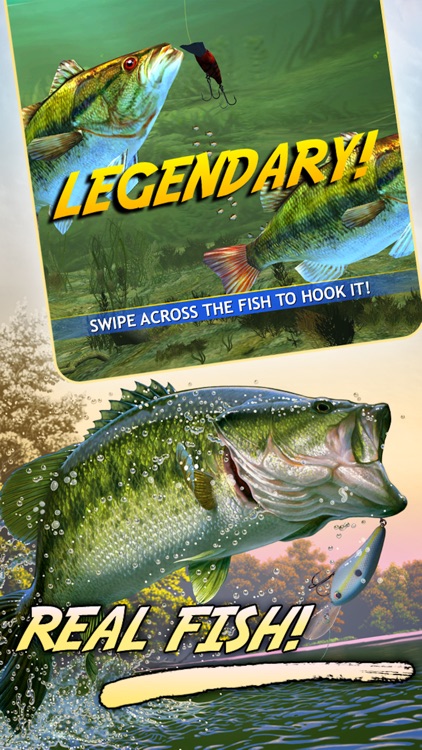 Bass Pro Shops: The Strike Pro Angler