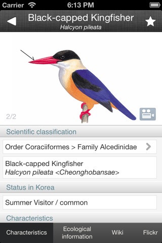 Birds of Korea Lite screenshot 2