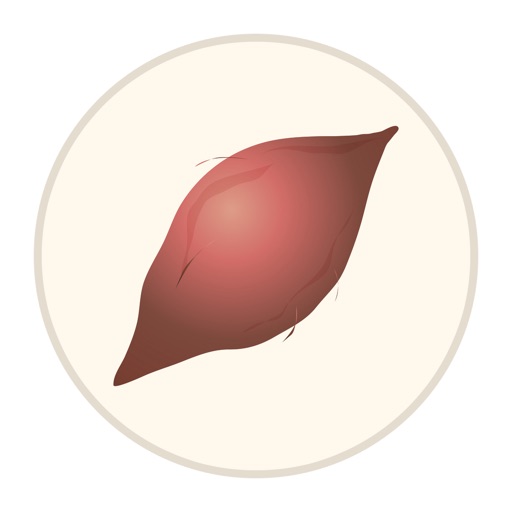 Potato Rocket Icon