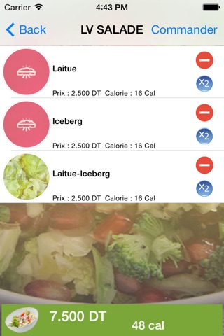 LVSalad screenshot 4