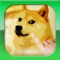In Doge Clicker Coin Collector you can earn as much as you can by frantically clicking on the Doge Dog