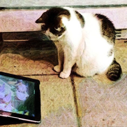 Kitty Cat Easy Game iOS App