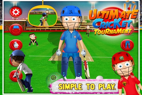 Ultimate Cricket Tournament screenshot 2
