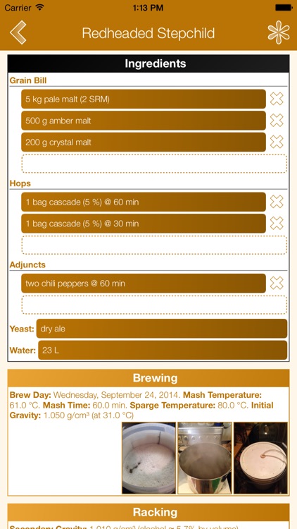Beer Lab Notebook screenshot-3
