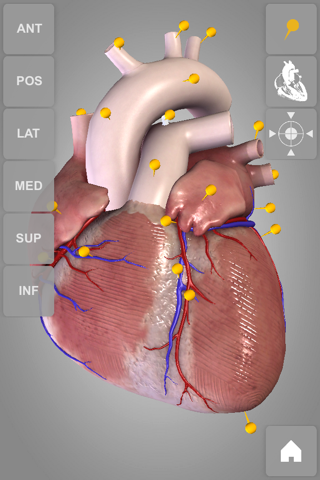 Heart - 3D Atlas of Anatomy screenshot 3