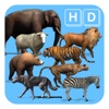 Animals Life Cycle - Mammals And Their Young Full Version