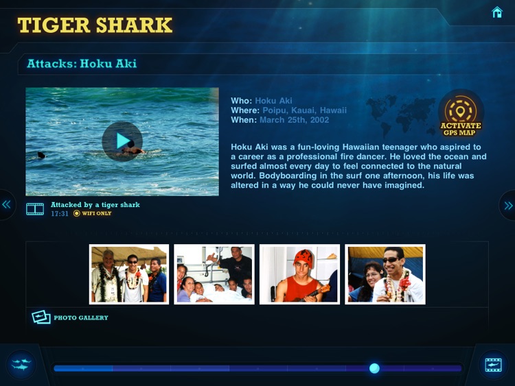 Ultimate Sharks Free