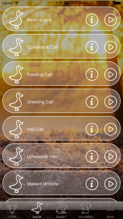 Hunting Calls Free - All in One