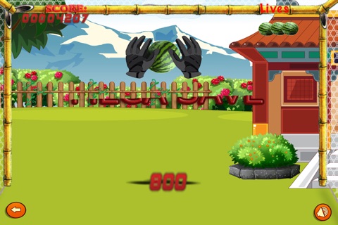 Bird Ninjas Flick - Fruit Slasher - Pro screenshot 4