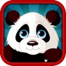 Get Panda Blitz Slots for iOS, iPhone, iPad Aso Report