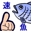 速魚！